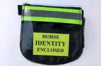 black horse small