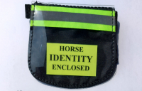 brown horse small
