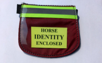 burgundy horse small