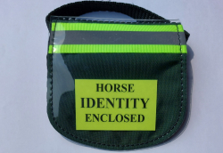 forest green horse small