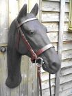 Hunting bridle