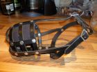 Black Staffie muzzle