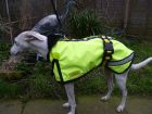 Daisy coat side view