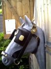 Ploughing Bridle