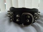 Spikey dog collar