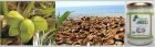 Coconut miracle logo