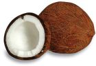 coconuts
