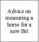 New Bit advice
