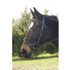 bridlefitting 1