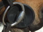 bridlefitting 4