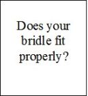 Does your bridle fit properly?