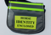 grey horse small